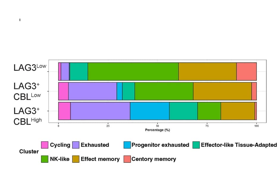 Open access visualization of Stacked Bar Plot, CD8+ T Cells, Functional Clusters, Patient Groups