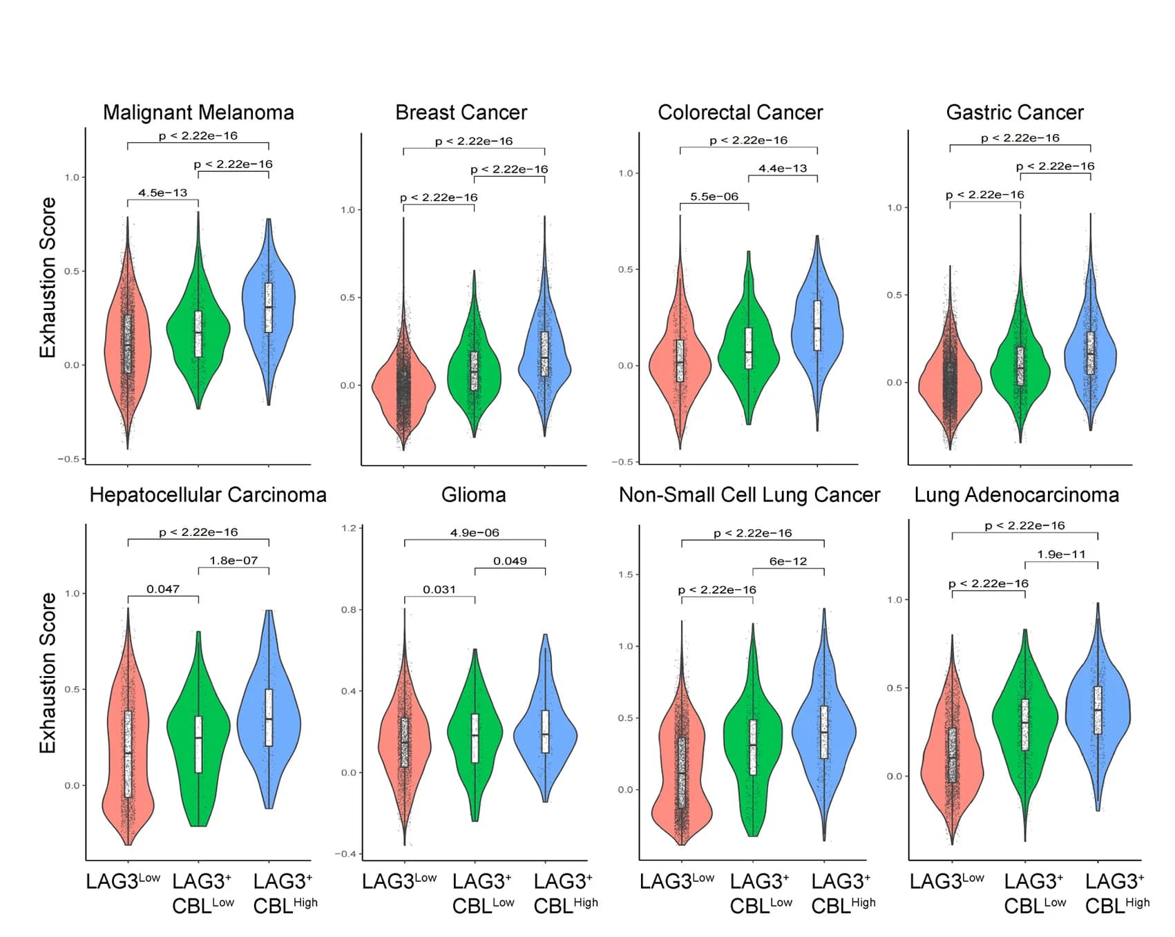Open access visualization of Violin Plot, Box Plot, Violin Plots, T Cell Exhaustion, TILs
