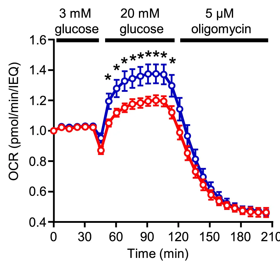 Open access visualization of Line Plot, Error Bars, OCR, Human Donor Islets, Protective INS Variant