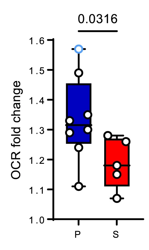 Open access visualization of Box Plot, Scatter Plot, OCR Fold Chance, Islets, Protective INS Variant