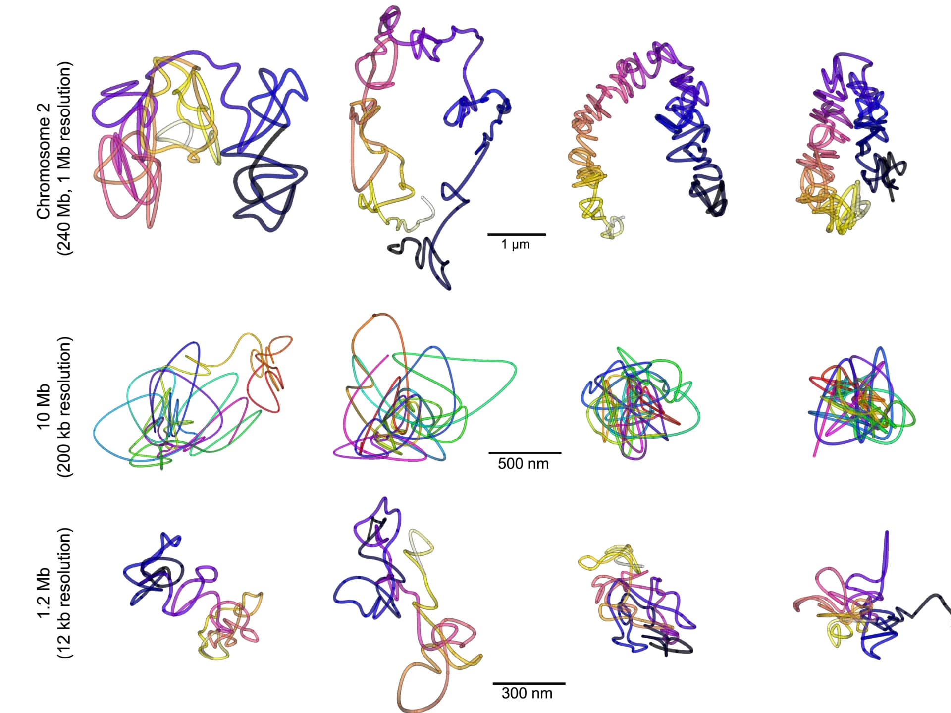 Open access visualization of 3D Plot, Chemical Structure, 3D Traces, Chromosome 2, Libraries