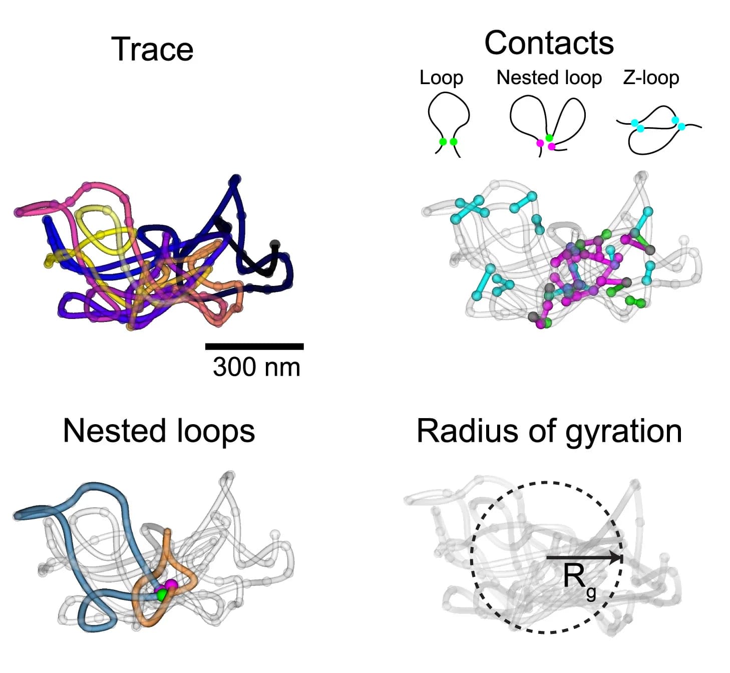 Open access visualization of Illustration, Single-Trace Metrics, Loops, Base Loops, Nested Loops