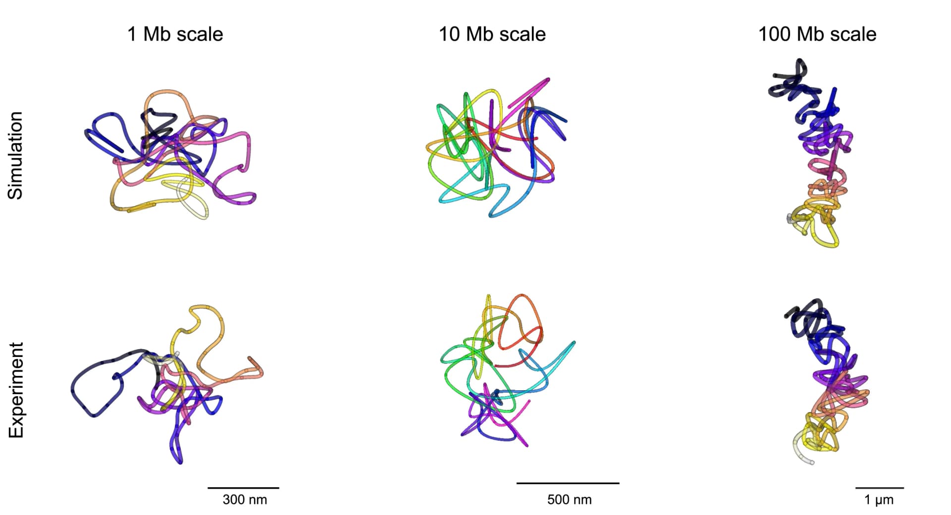 Open access visualization of 3D Plot, Chemical Structure, Traces, Simulated Regions, Chromosomes