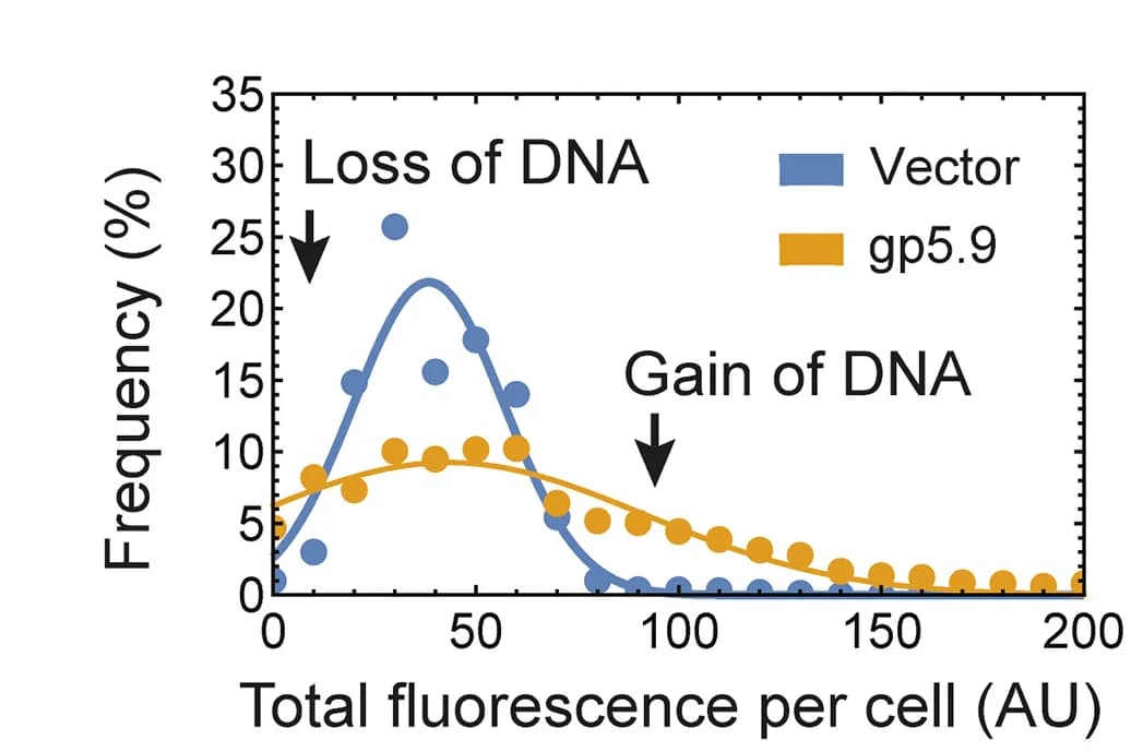 Open access visualization of Line Plot, Scatter Plot, Density Plot, DAPI Intensity, DNA Content