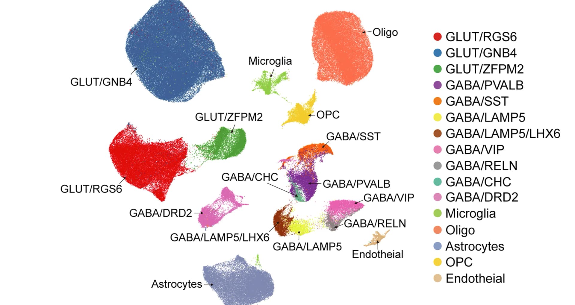 Open access visualization of Scatter Plot, UMAP, PCA, snRNA-seq, Macaque Claustrum