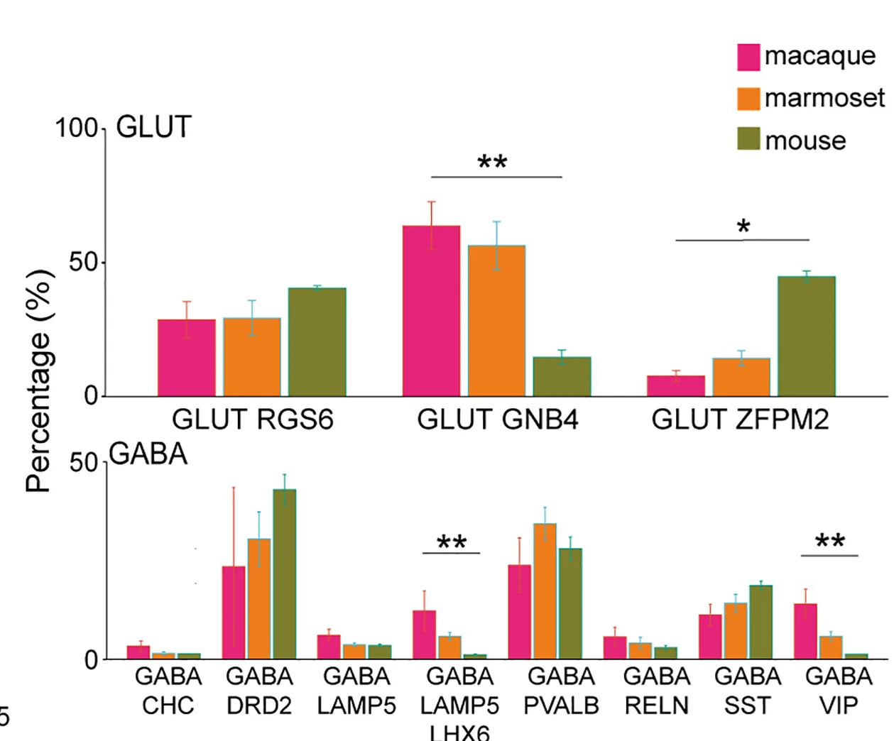 Open access visualization of Bar Plot, Error Bars, Clustered, Bar Plots, Neuronal Subclasses