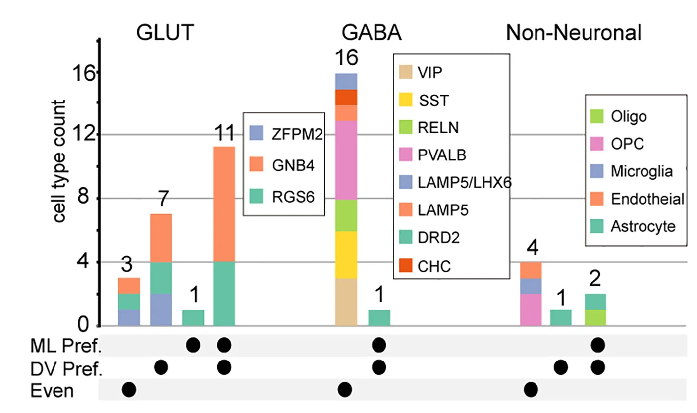Open access visualization of Stacked Bar Plot, Cell Types, Distribution Patterns, Medio-Lateral Axis, Dorsal-Ventral Axis