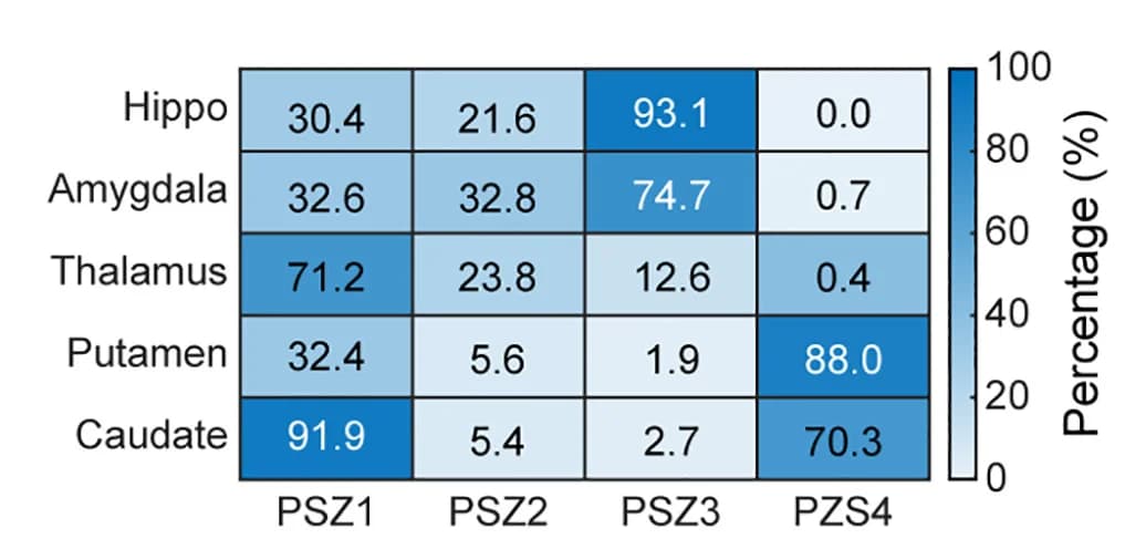 Open access visualization of Heatmap, Labeled Neurons, PSZs, Subcortical Injections