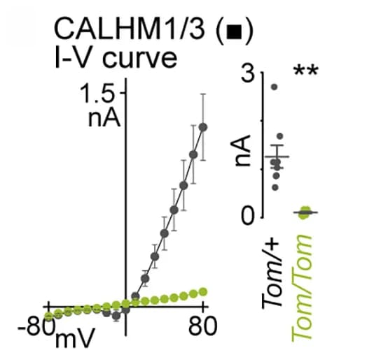 Open access visualization of Line Plot, Error Bars, Scatter Plot, Current-Voltage Relations, Inward Current