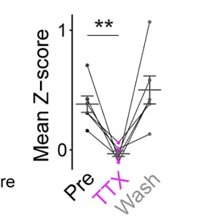 Open access visualization of Line Plot, Error Bars, Summary, ASAP4e Fluorescence, TTX