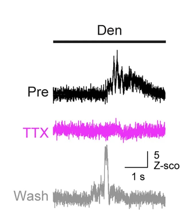 Open access visualization of Line Plot, Violin Plots, Gene Expression, Tuft Cells, Target Enrichment