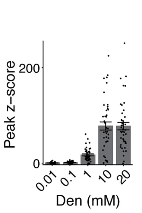 Open access visualization of Bar Plot, Error Bars, Scatter Plot, Intracellular Calcium, Plasma Membrane Voltage