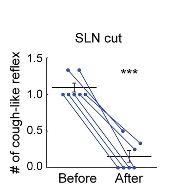 Open access visualization of Line Plot, Error Bars, Scatter Plot, CA-induced Cough-like Reflex, SLN Transection