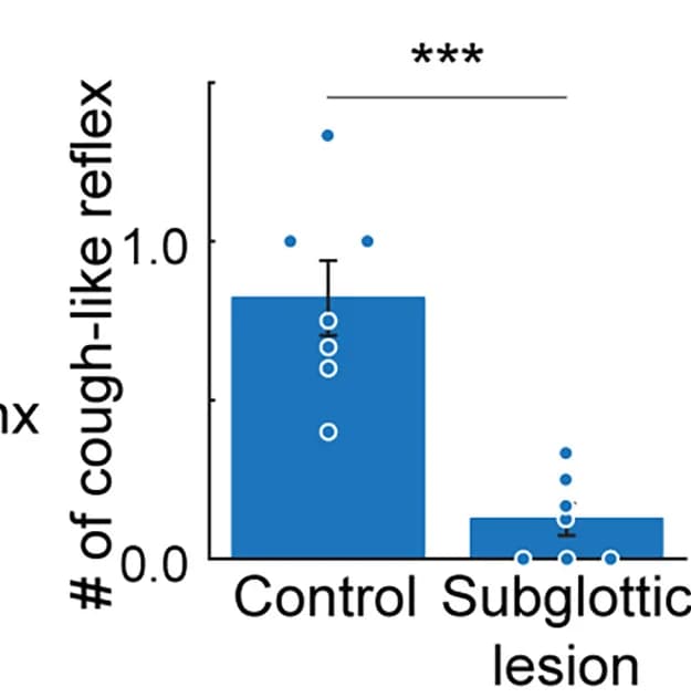 Open access visualization of Bar Plot, Error Bars, Cough-like Reflex, Counts, Tukey-Kramer Test