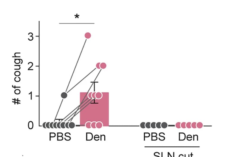 Open access visualization of Bar Plot, Scatter Plot, Error Bars, Cough Counts, Spraying