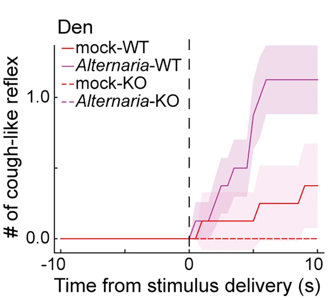 Open access visualization of Line Plot, Line Step, Error Bars, Cough-like Reflexes, Den