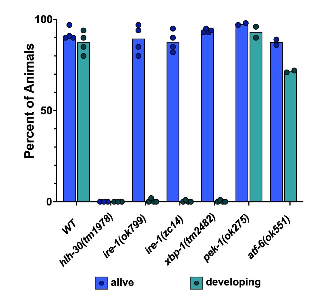 Open access visualization of Clustered, Bar Plot, Scatter Plot, Genotypes, L1 Arrest