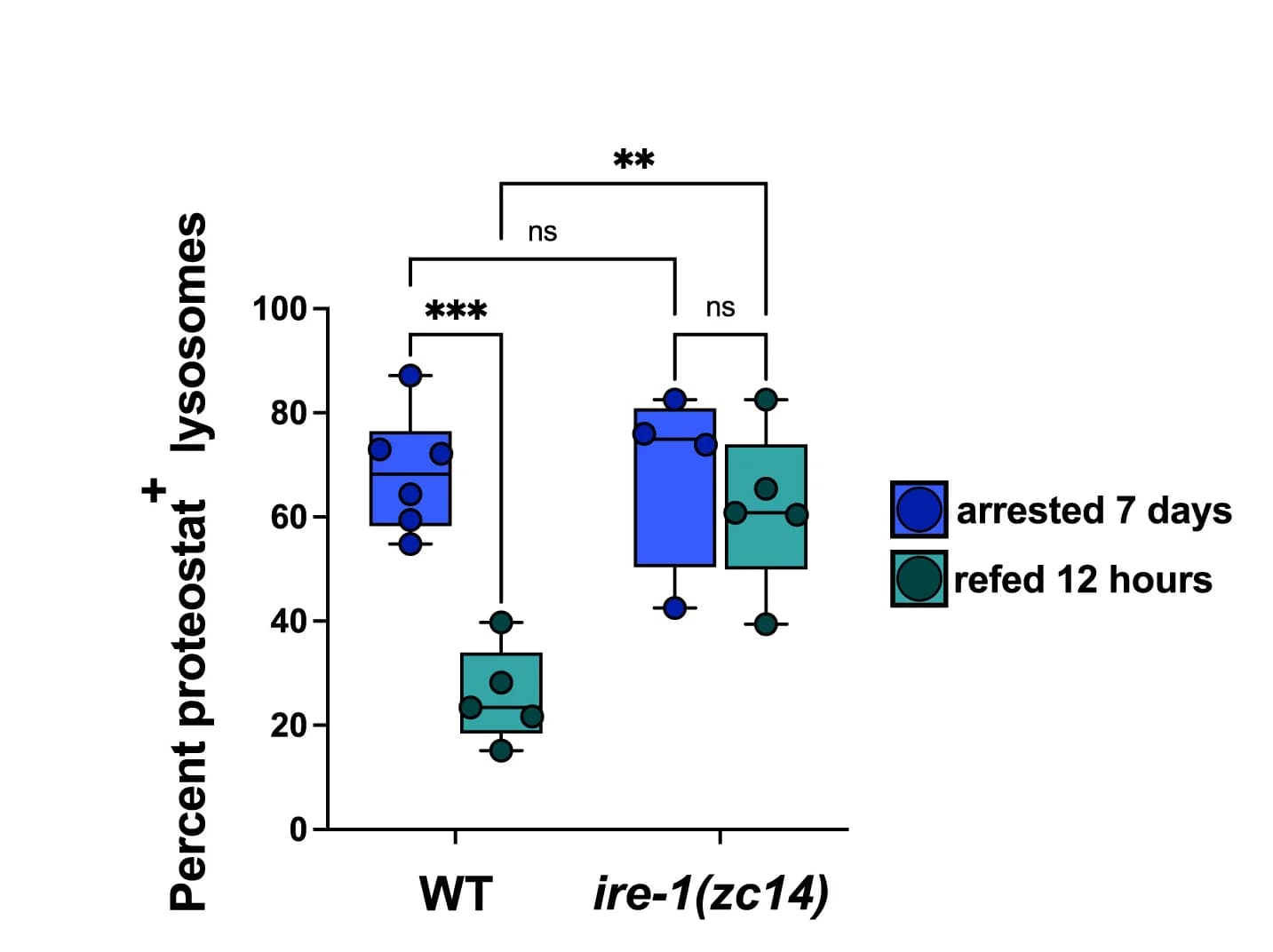 Open access visualization of Box Plot, Scatter Plot, IRE-1, Lysosomes, Proteostat