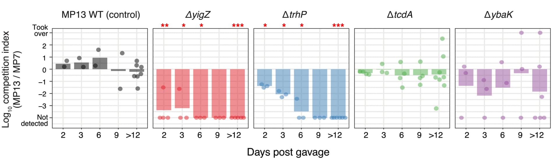 Open access visualization of Scatter Plot, Bar Plot, Normalized Ratios, Colony Counting, Intestinal Content