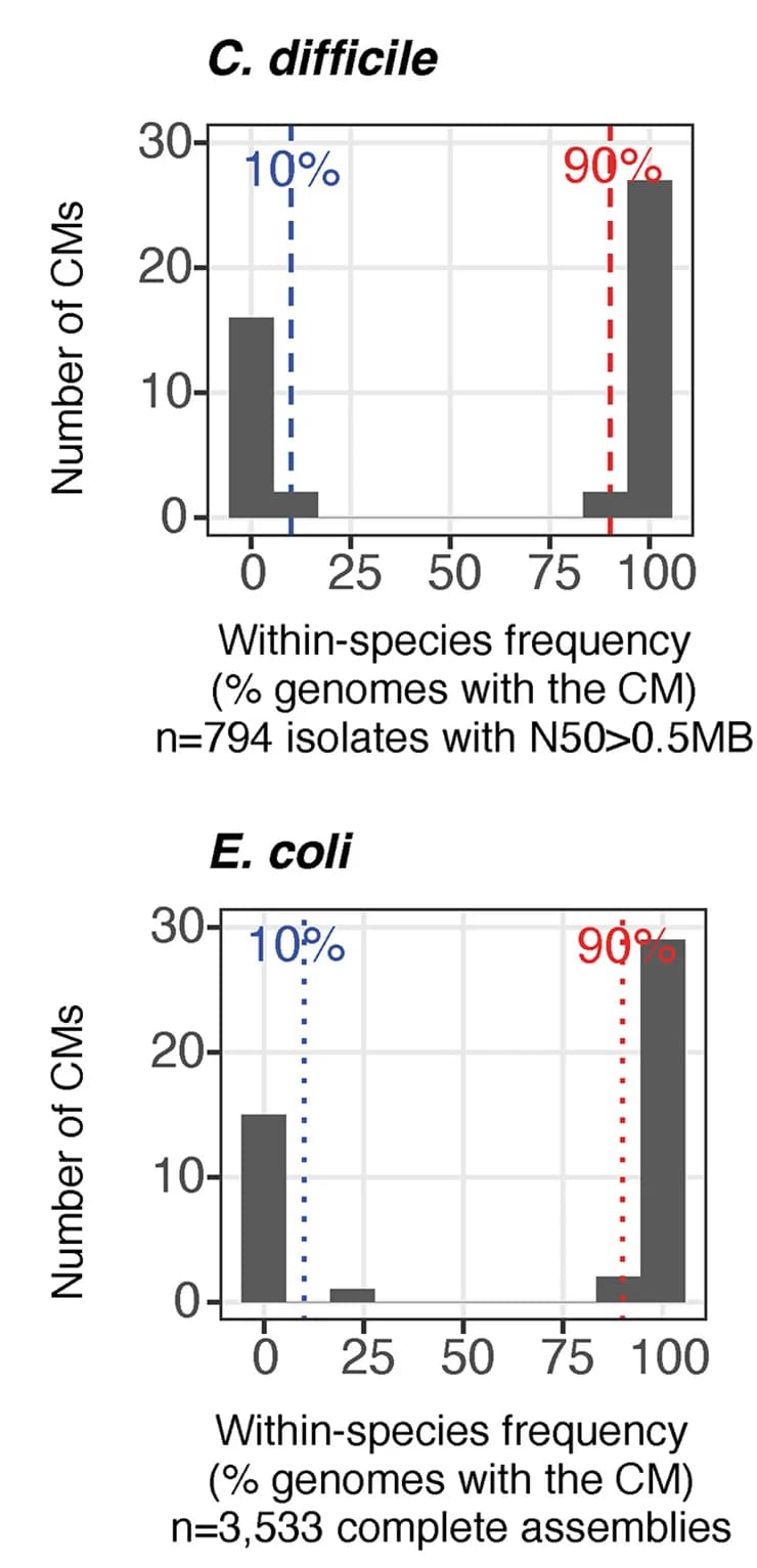 Open access visualization of Bar Plot, Histogram, CMs, Within-Species Frequency, C. Difficile