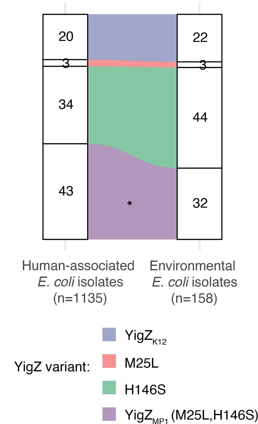 Open access visualization of Stacked Bar Plot, YigZ Variants, Non-Synonymous Mutations, E. Coli Isolates, Human Associated