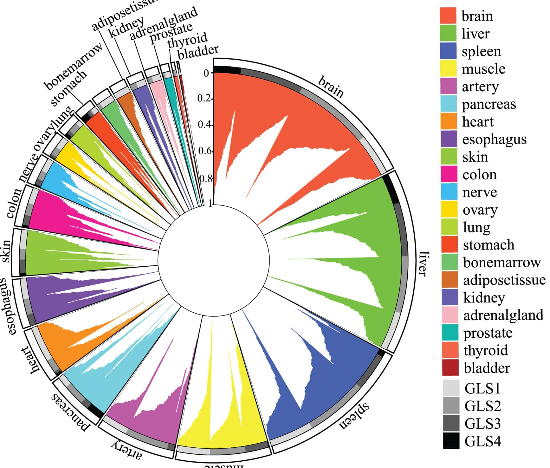 Open access visualization of Radar Chart, Tissue Enriched Proteins, Plasma, Tissue Assignment, Circular Bar Plot