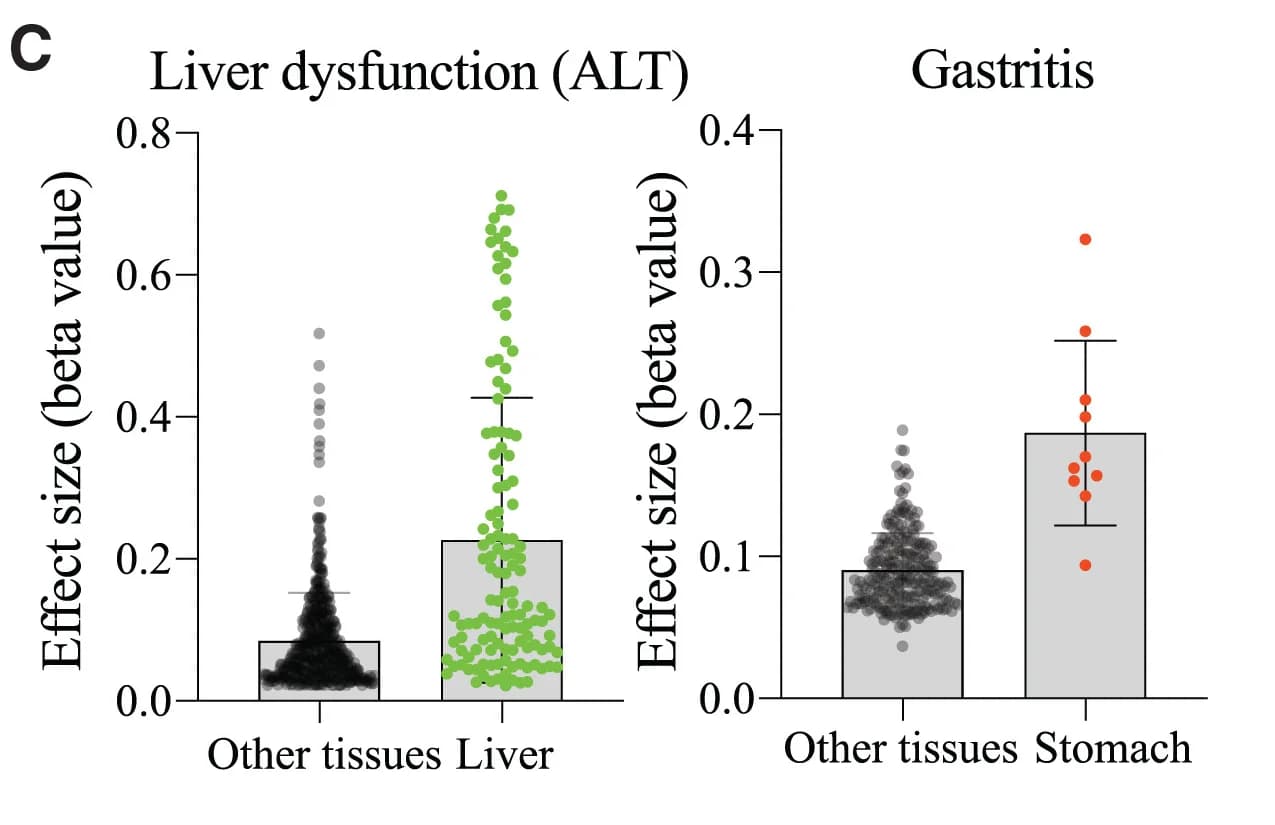 Open access visualization of Box Plot, Scatter Plot, Tissue Enriched Proteins, Protein Association, Gastritis