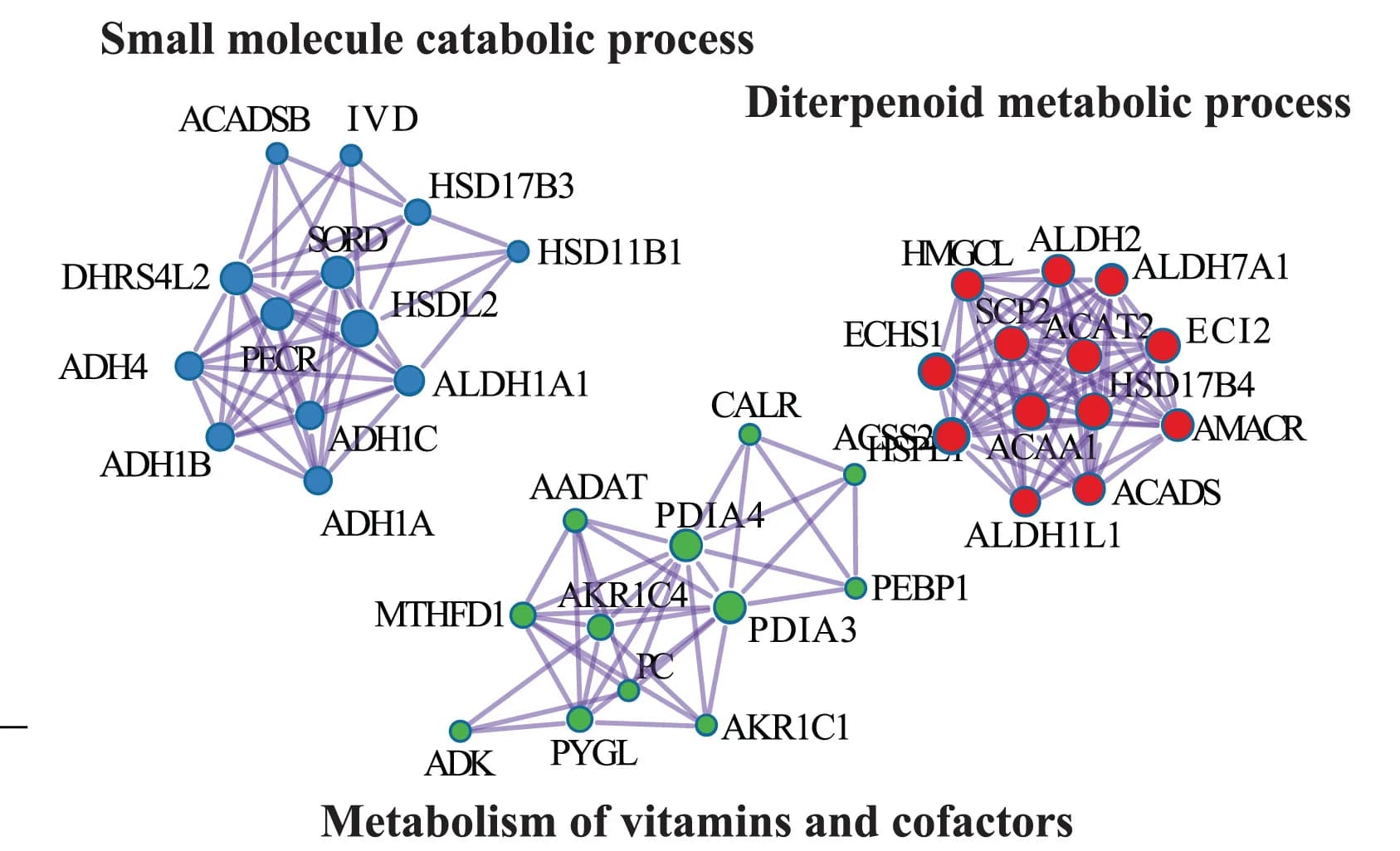 Open access visualization of Network, Pathway, String Network Graph, Liver Proteins, Protein Association