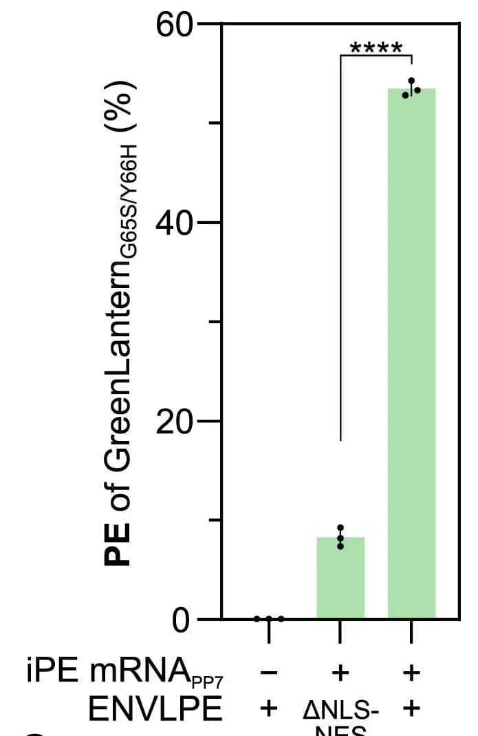 Open access visualization of Bar Plot, Error Bars, NLS-NES, PE Efficacies, ENVLPE