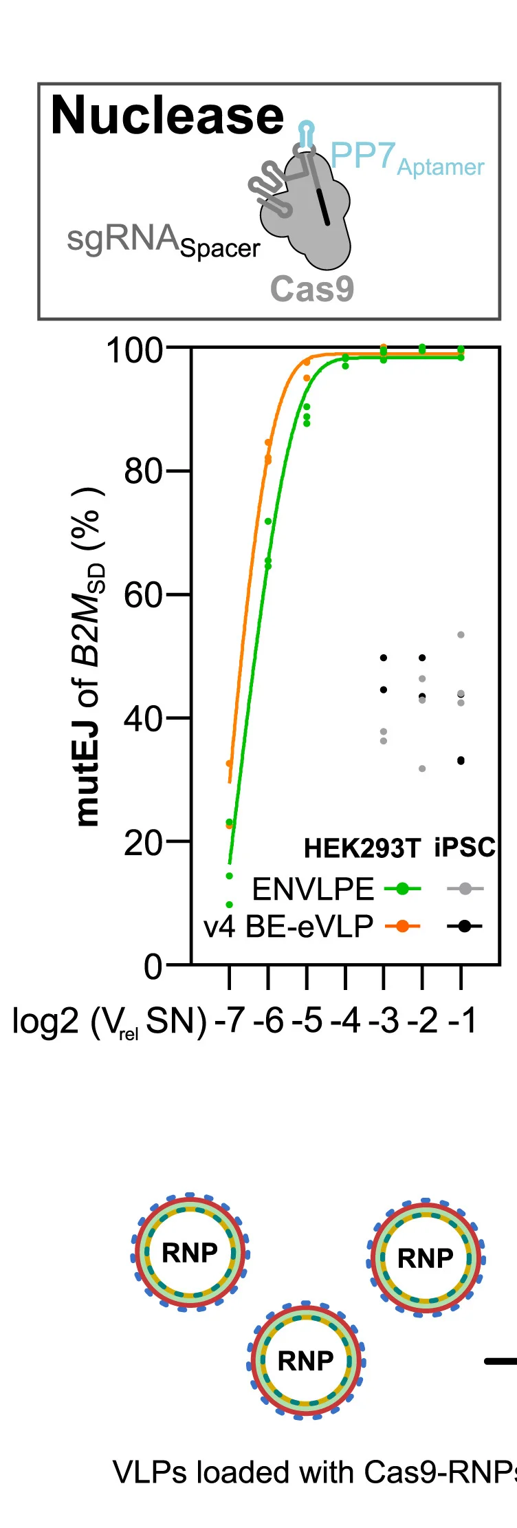 Open access visualization of Line Plot, Scatter Plot, Cas9 ENVLPE, v4 Cas9 eVLPs, B2M