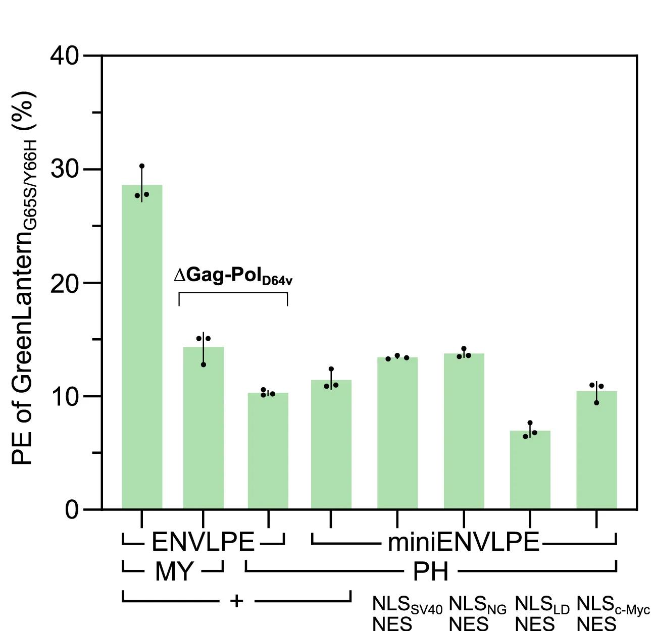 Open access visualization of Bar Plot, Error Bars, ENVLPE, Gag, Gag-PolD64V