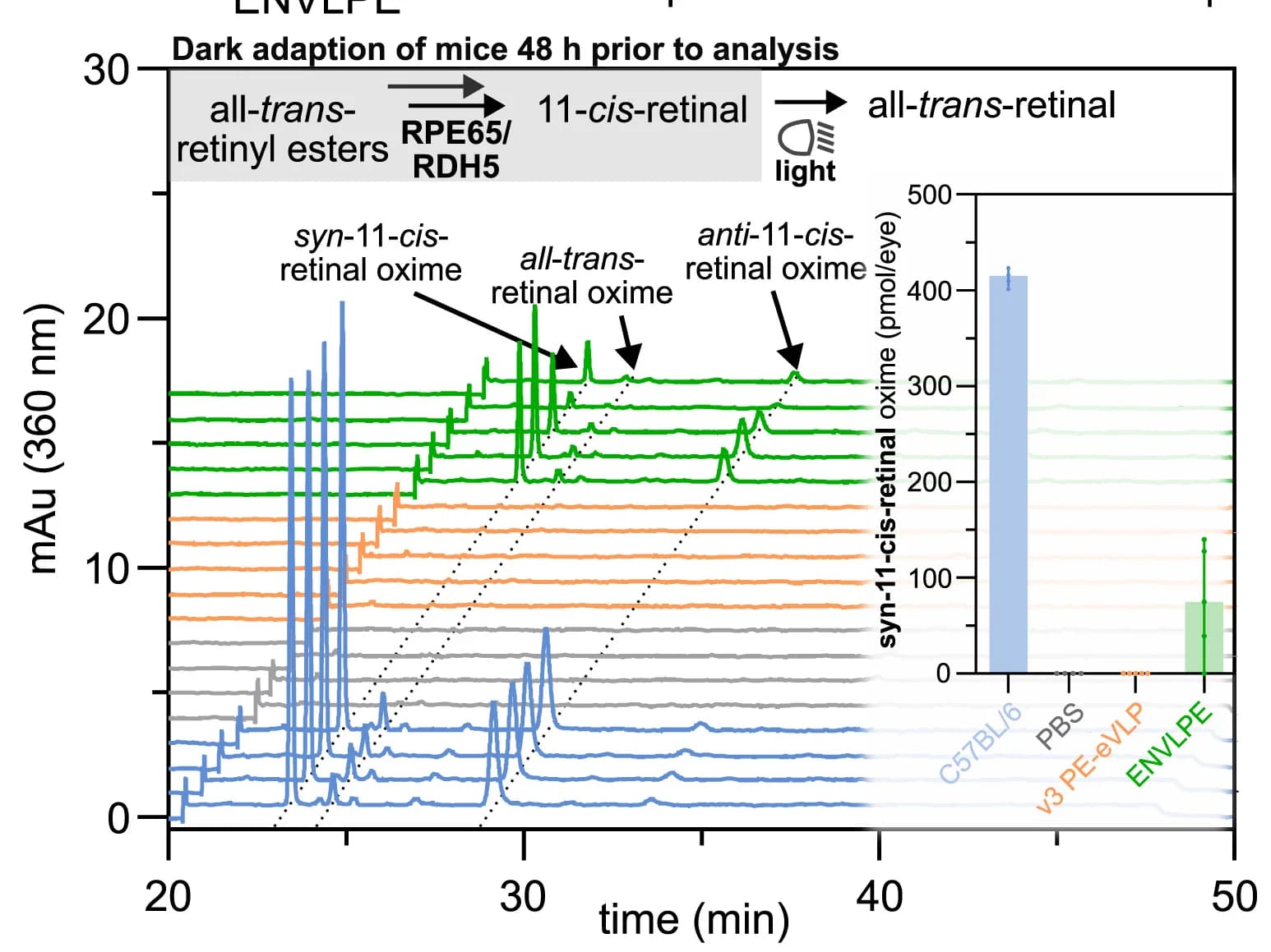 Open access visualization of Line Plot, Bar Plot, Error Bars, Schematic Diagram, Visual Cycle