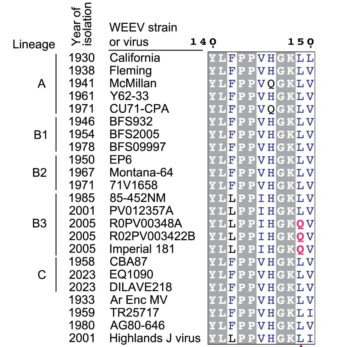 Open access visualization of Table Image, WEEV E2 Sequence Alignment, E2 Residue 149, Conserved Residues, ESPript 3.0