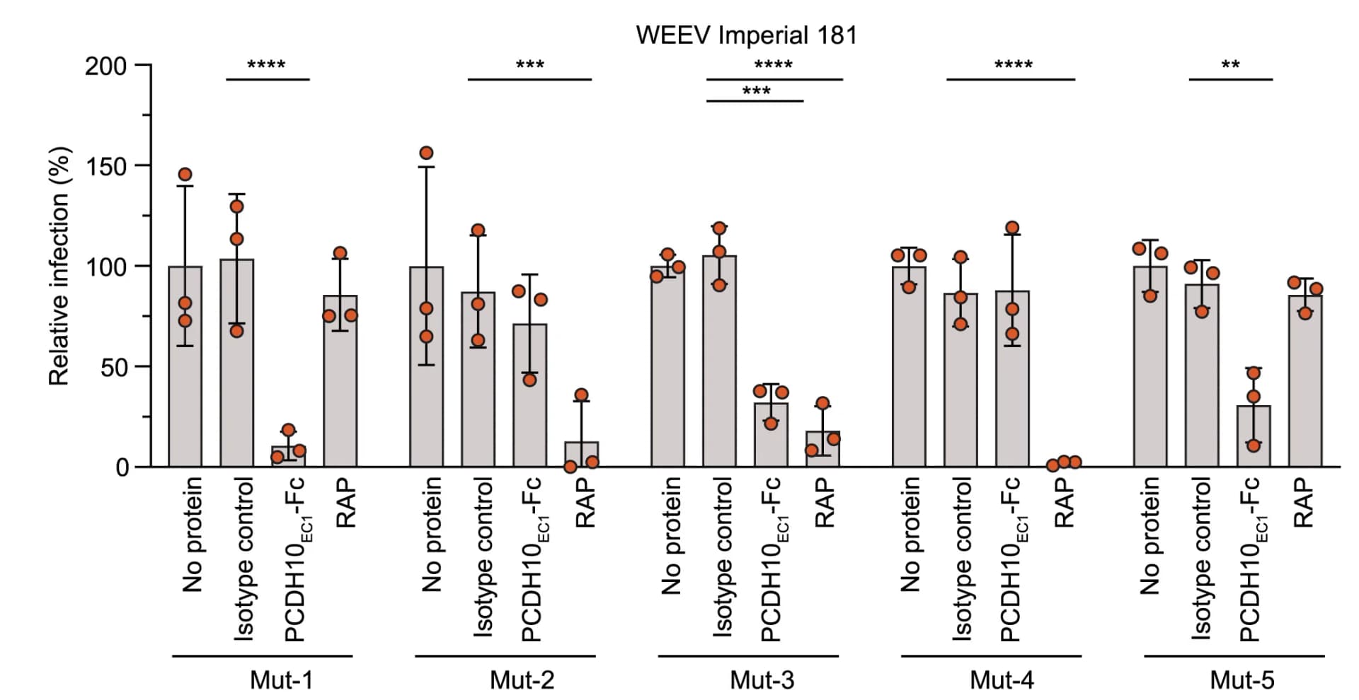 Open access visualization of Bar Plot, Error Bars, Scatter Plot, Murine Cortical Neurons, GFP RVPs