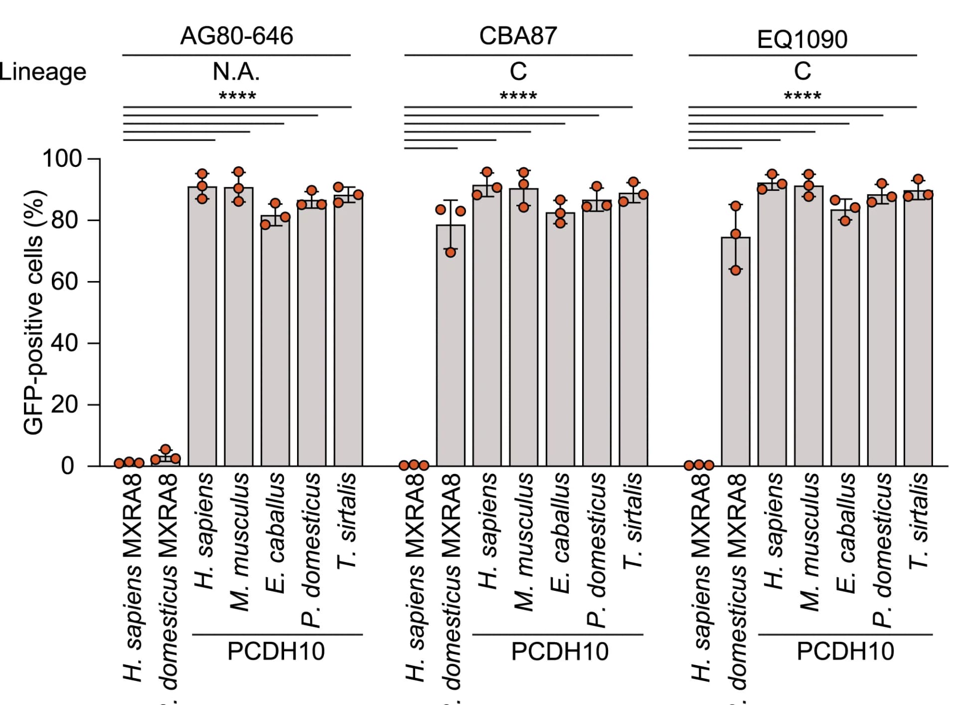Open access visualization of Bar Plot, Error Bars, Scatter Plot, K562 Cells, Receptor Orthologs