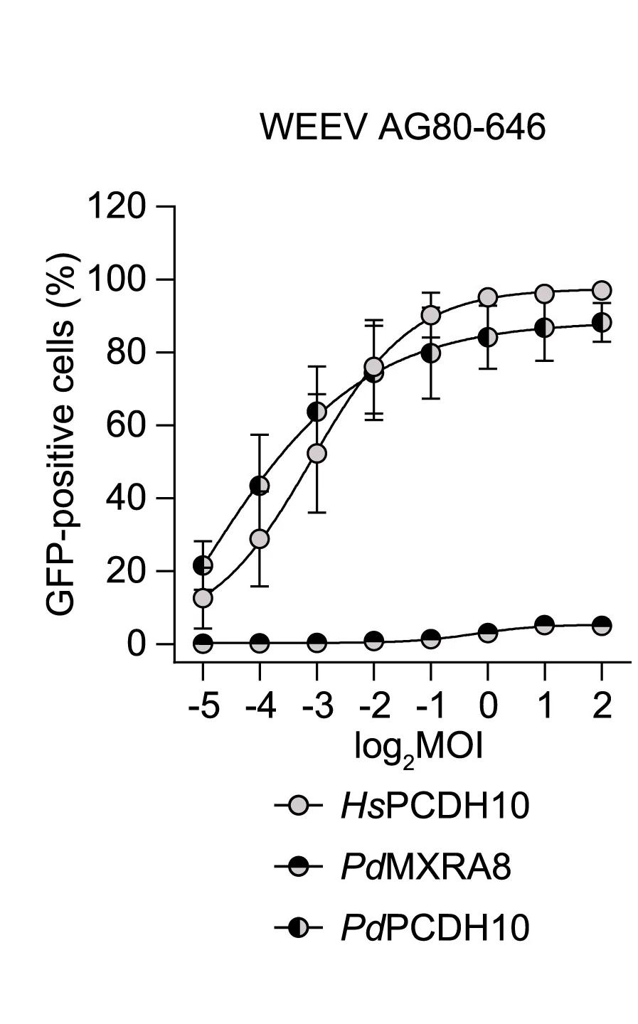 Open access visualization of Line Plot, Error Bars, K562 Cells, HsPCDH10, PdPCDH10