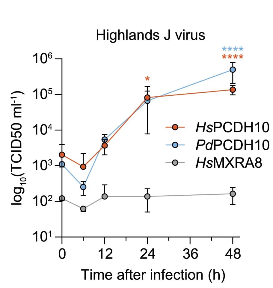 Open access visualization of Line Plot, Error Bars, Viral Replication, HJV Strain, K562 Cells