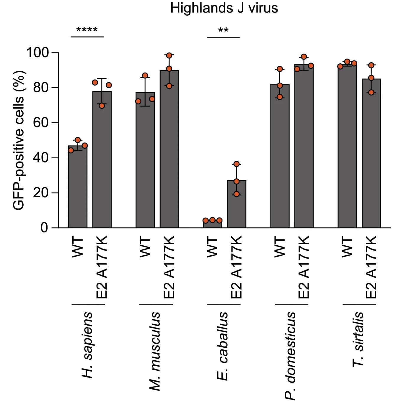 Open access visualization of Bar Plot, Error Bars, K562 Cells, PCDH10 Orthologs, HJV RVPs