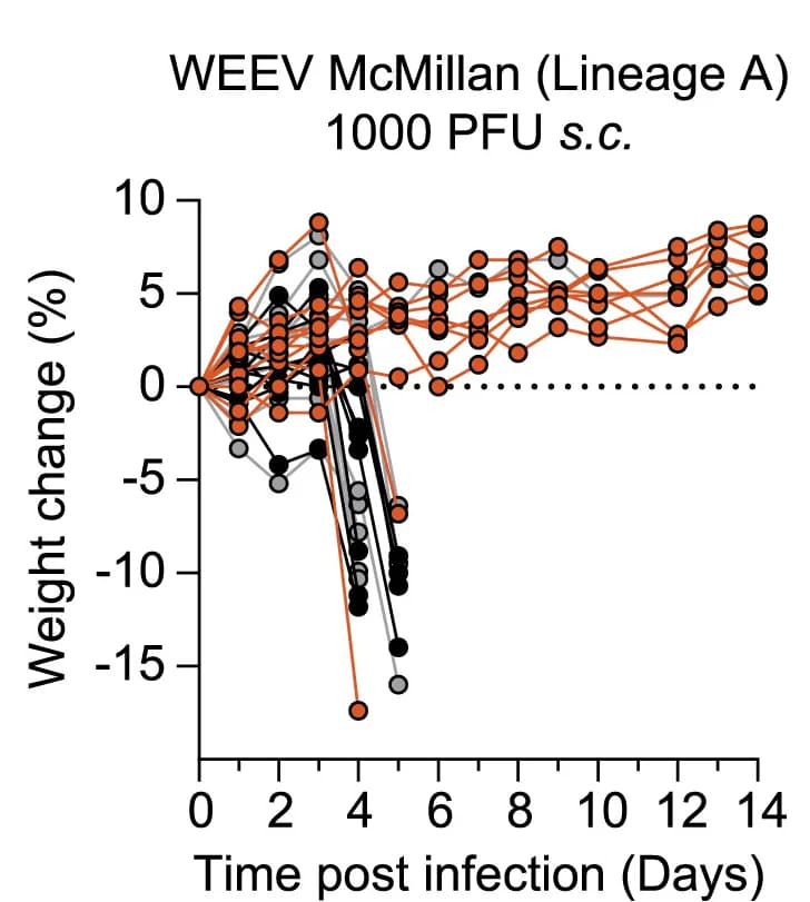 Open access visualization of Line Plot, Scatter Plot, CD1 Mice, VLDLR LA(1–2)-Fc Fusion Protein, Isotype Control Antibody