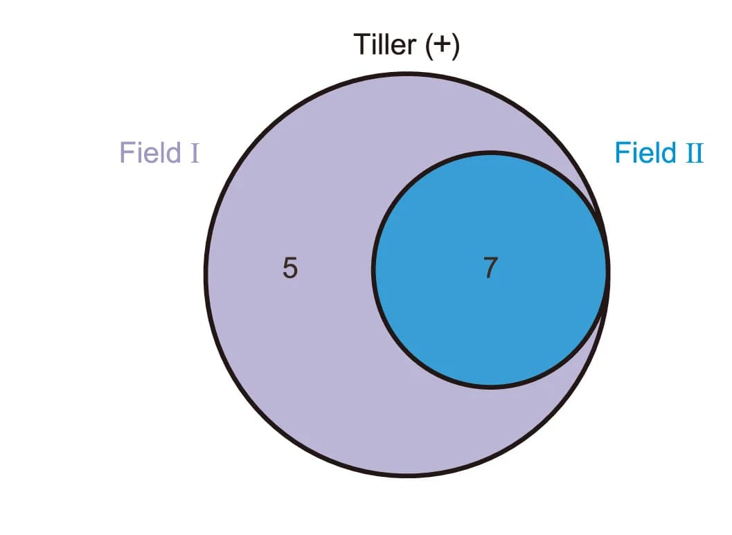 Open access visualization of Venn Diagram, Bacterial Genera, Tiller Number, Rice Varieties, Wilcoxon Rank-Sum Test
