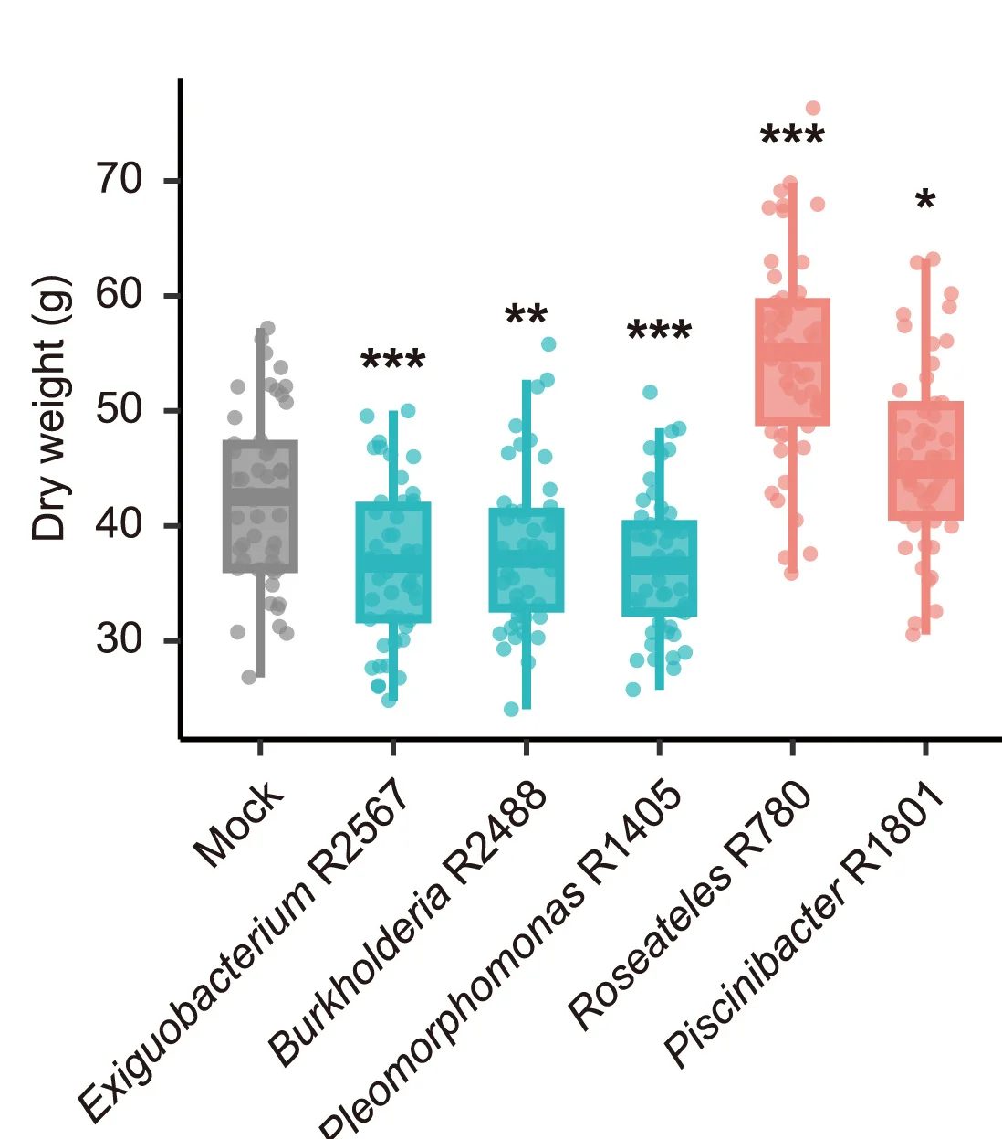 Open access visualization of Box Plot, Scatter Plot, Dry Weight, Bacterial Inoculation, Field Conditions