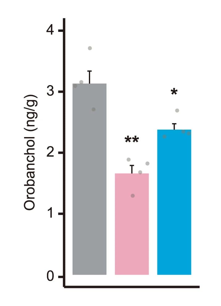 Open access visualization of Bar Plot, Error Bars, Strigolactones, Root Exudates, Rice Seedlings