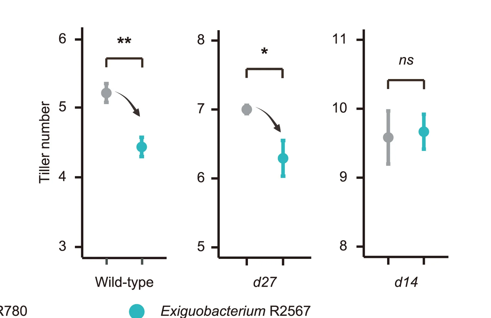 Open access visualization of Scatter Plot, Error Bars, Tillering, Rice, SL Biosynthesis