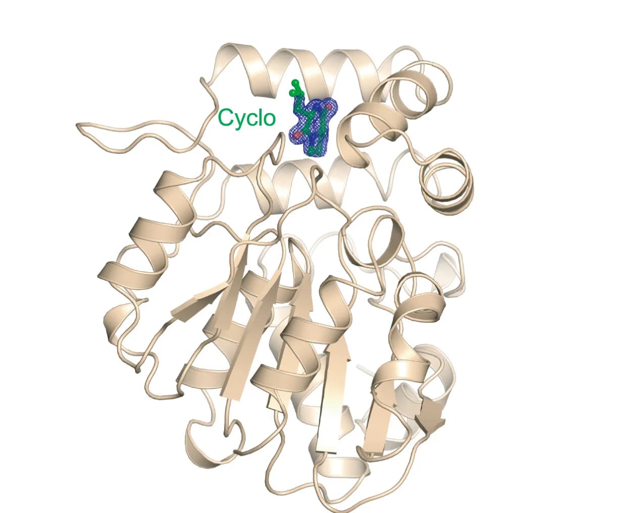 Open access visualization of Protein Structure, Chemical Structure, Crystal Structure, OsD14, Cyclo(Leu-Pro) Complex