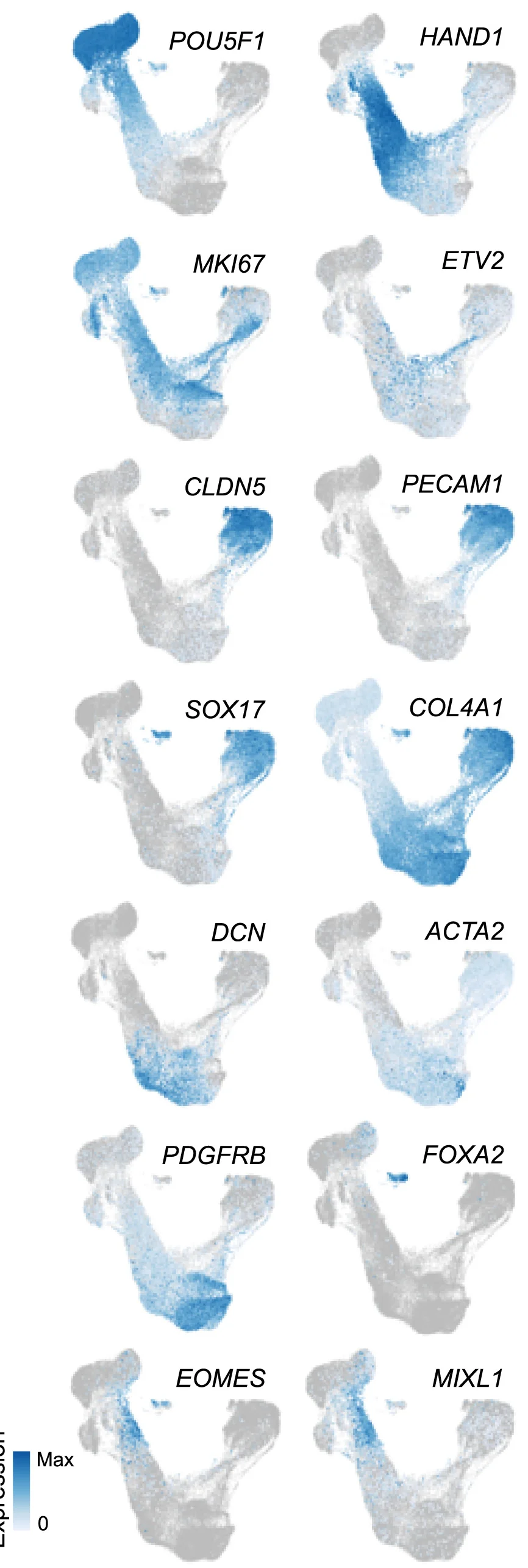 Open access visualization of Scatter Plot, UMAP, Heatmap, Feature Plots, Cell-Type Cluster