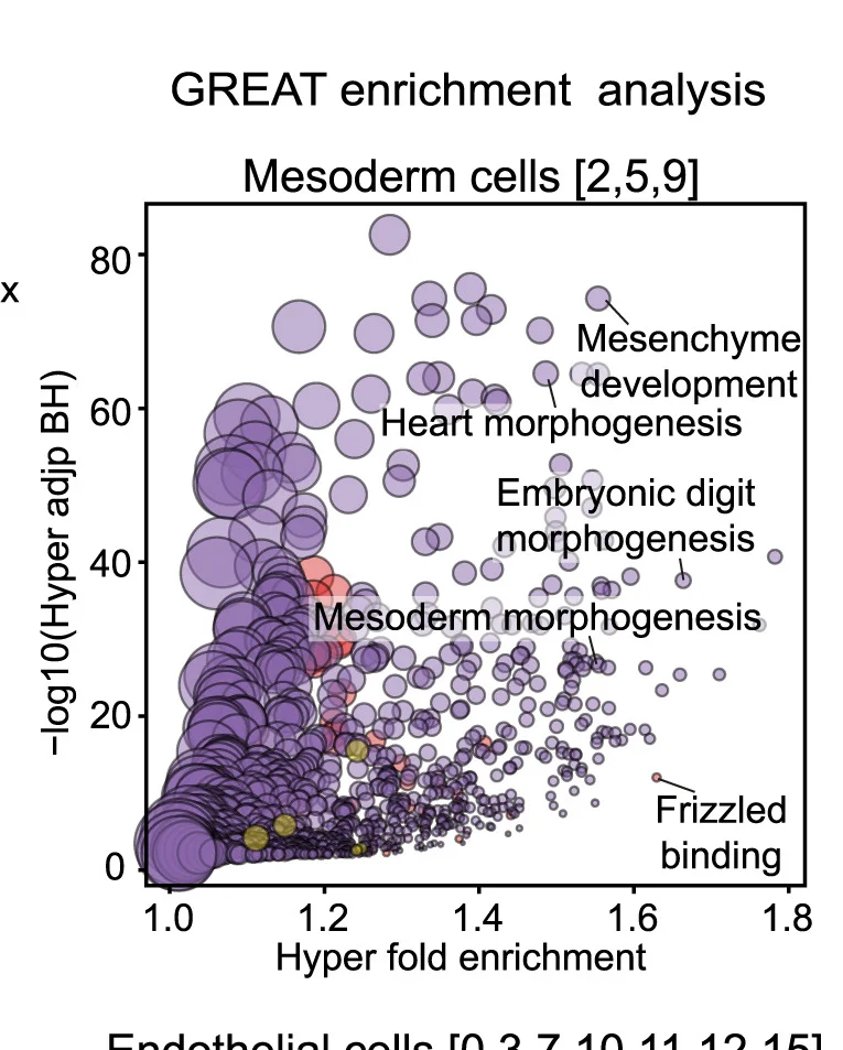 Open access visualization of Bubble Plot, Bubble Plots, Gene Ontology, Biological Processes, Cellular Components