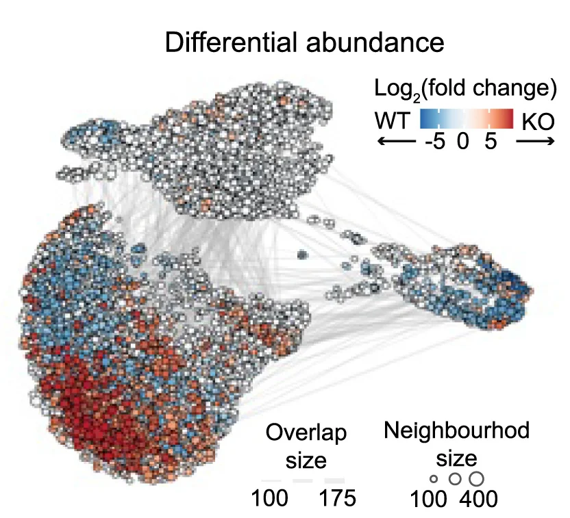 Open access visualization of Scatter Plot, Network, Bubble Plot, UMAP Embedding, MiloR