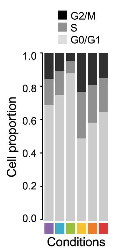 Open access visualization of Stacked Bar Plot, Stacked Bar Graph, Cell-Cycle Phase