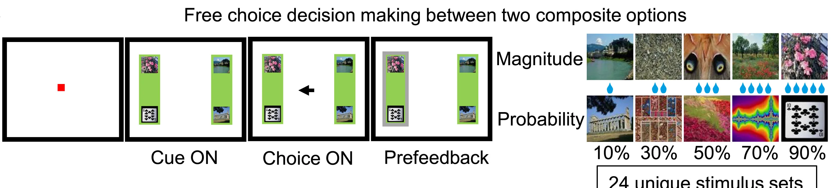 Open access visualization of Workflow, Illustration, Choice Option, Cues, Reward Magnitude