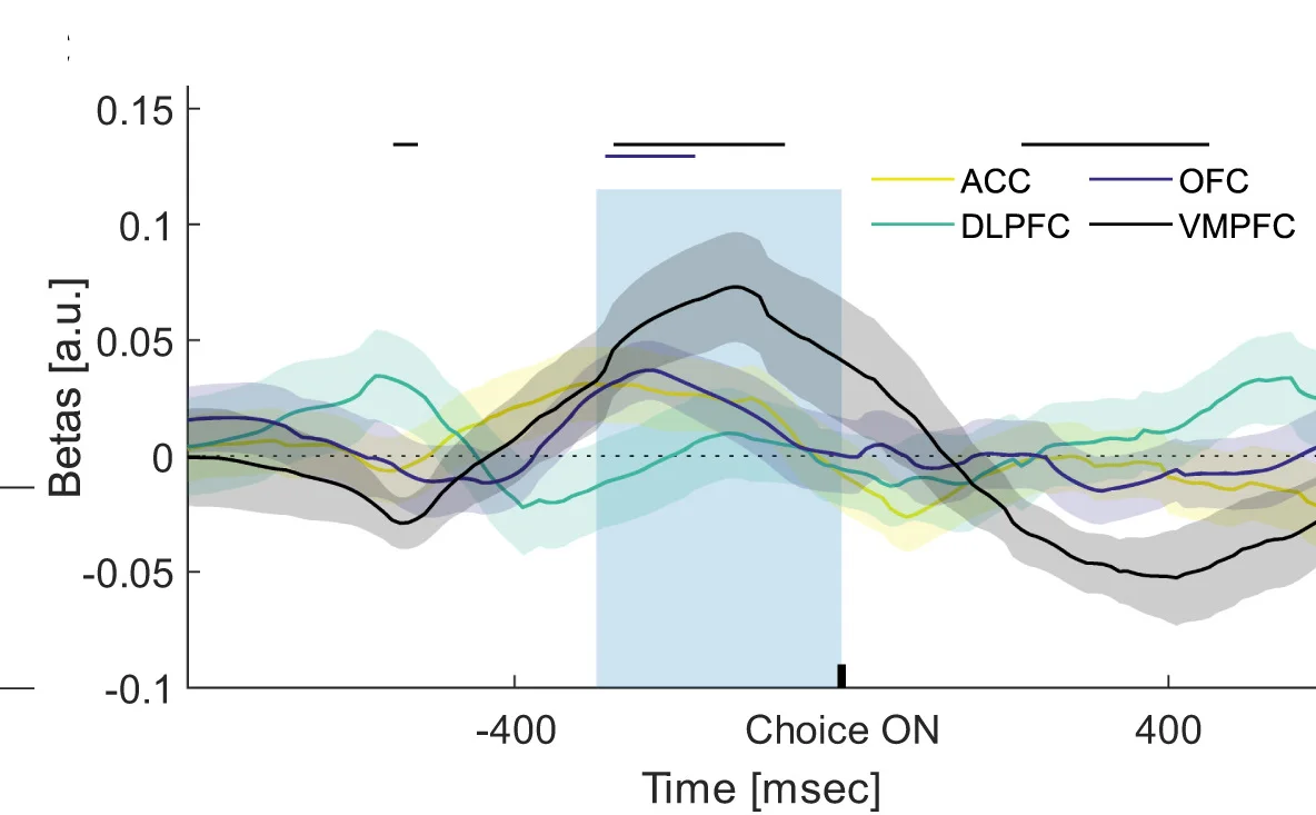 Open access visualization of Line Plot, Error Bars, Time Course, Hexadirectional Modulation, vmPFC